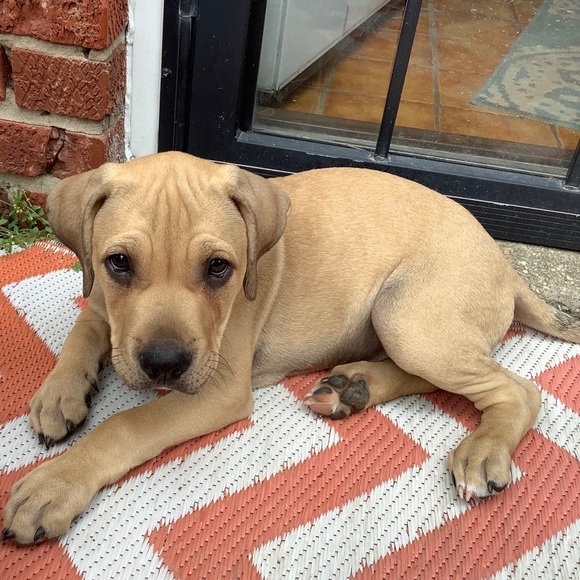 Meet your Posher, Marey (Mugsy j) - Picture 11 of 16